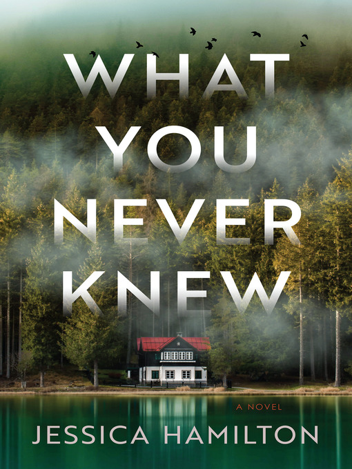 Title details for What You Never Knew by Jessica Hamilton - Wait list